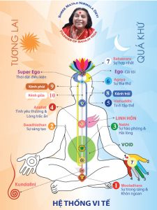 Hệ thống vi tế trong thiền định Sahaja Yoga
