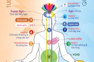 Hệ thống vi tế trong thiền định Sahaja Yoga