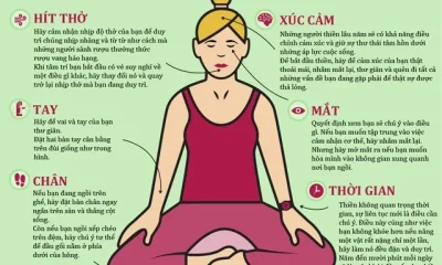 Hướng dẫn ngồi thiền: tư thế, tay, lưng và hơi thở