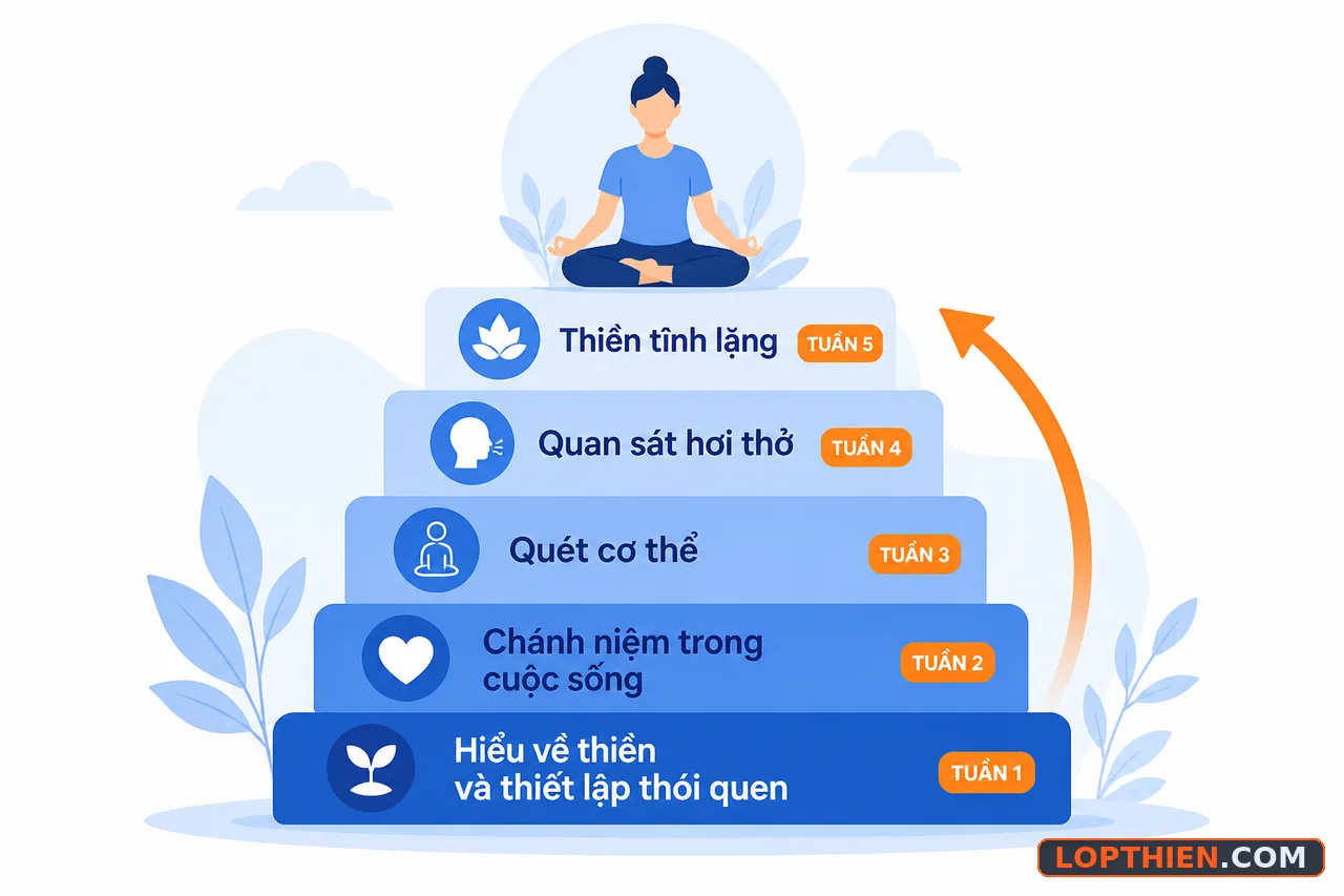 Khóa học thiền bốn đến tám tuần từ cơ bản đến chuyên sâu
