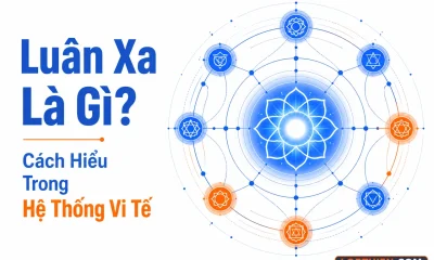 Luân xa là gì - minh họa các nút kết nối trong hệ thống vi tế