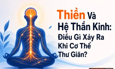 thiền và hệ thần kinh, người thiền định với các đường dẫn thần kinh sáng lên trong cơ thể