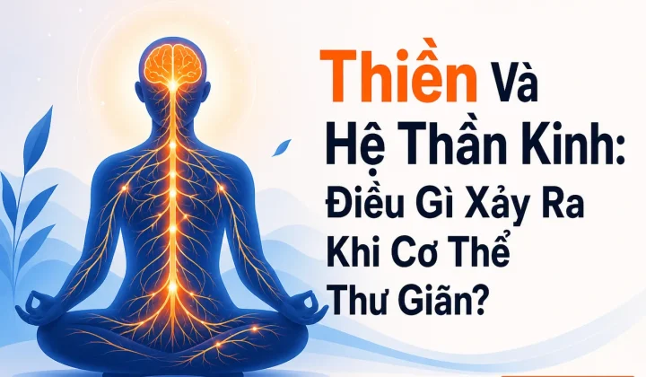 thiền và hệ thần kinh, người thiền định với các đường dẫn thần kinh sáng lên trong cơ thể